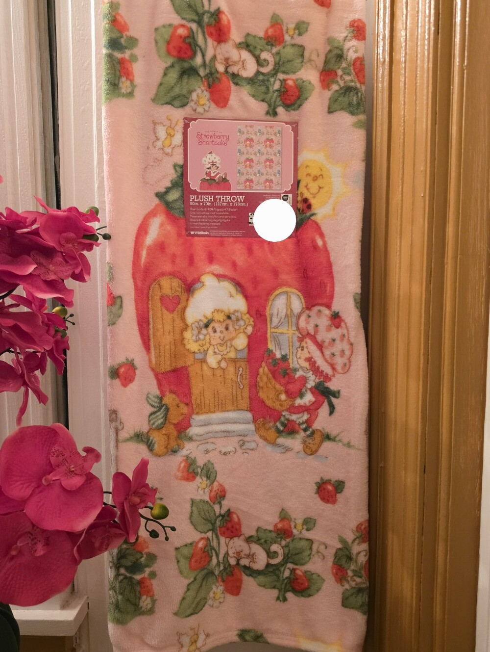 Strawberry Shortcake Plush Blanket